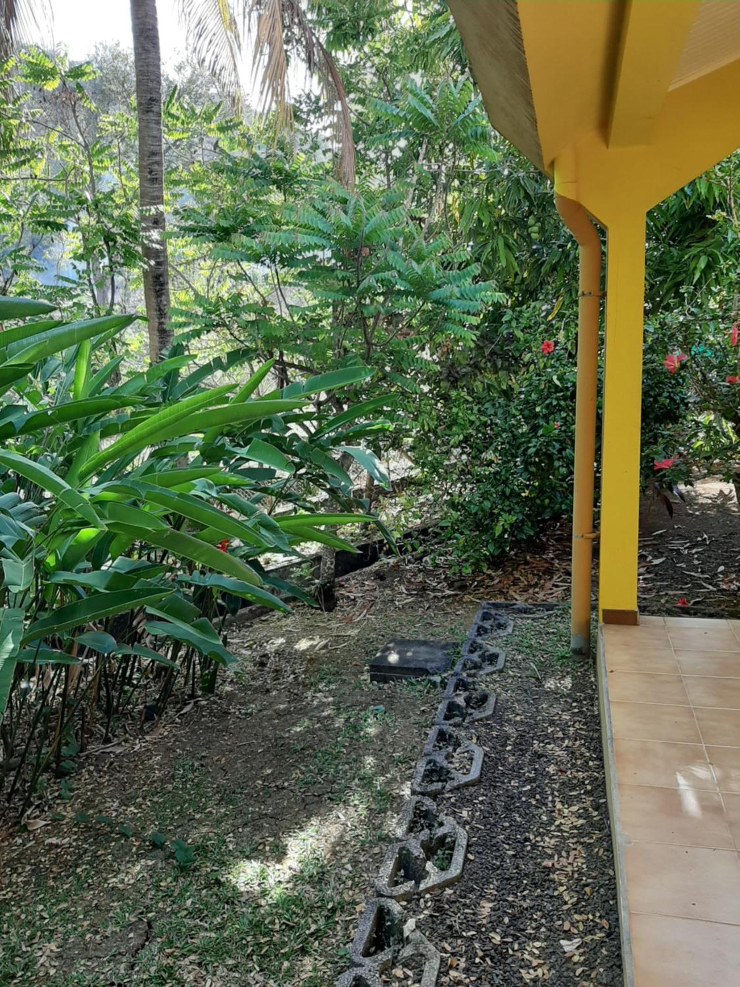 Residence De Vacances Mon Refuge - Bungalow De Type T3 Grande Anse Exterior photo
