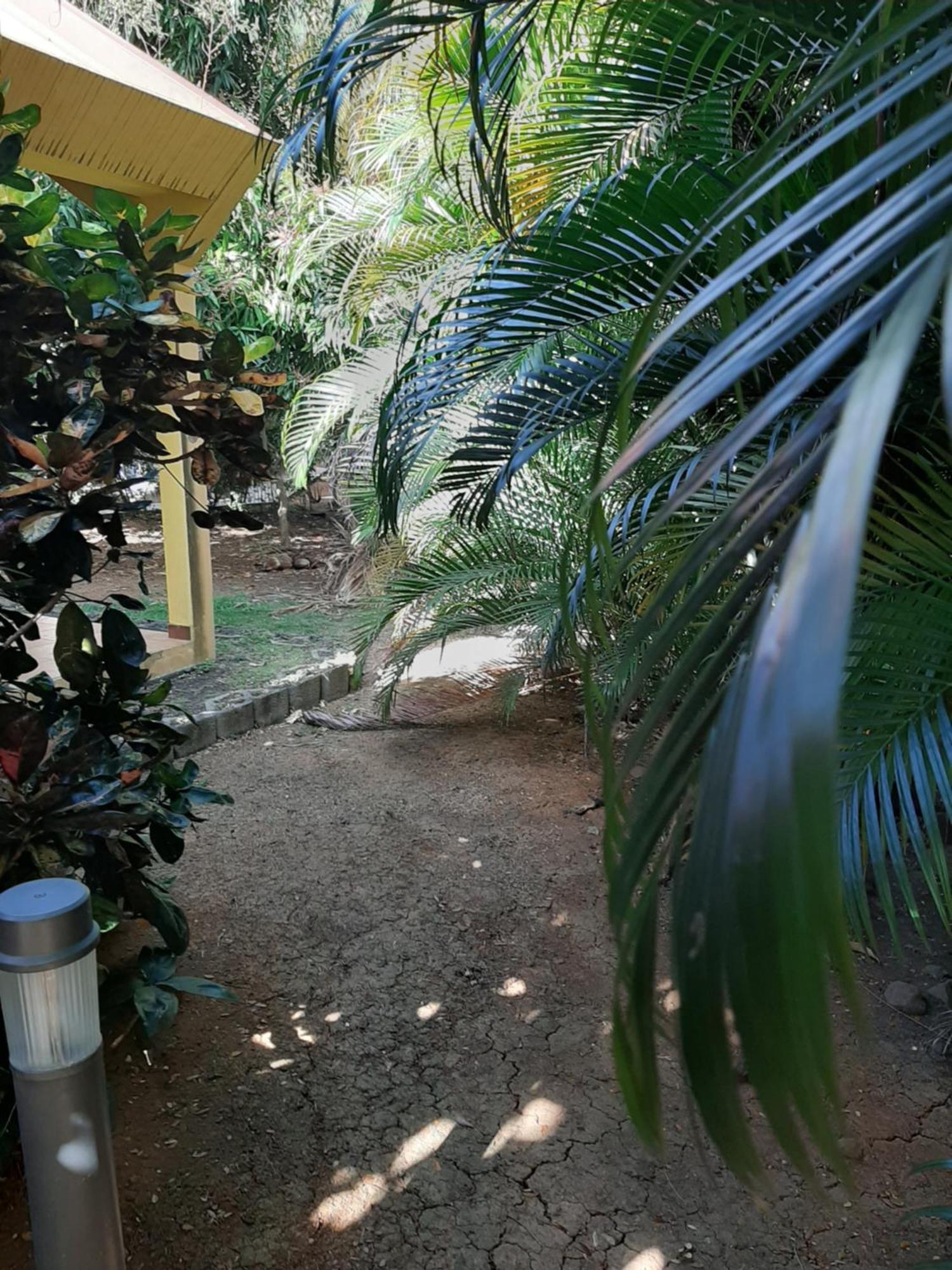 Residence De Vacances Mon Refuge - Bungalow De Type T3 Grande Anse Exterior photo