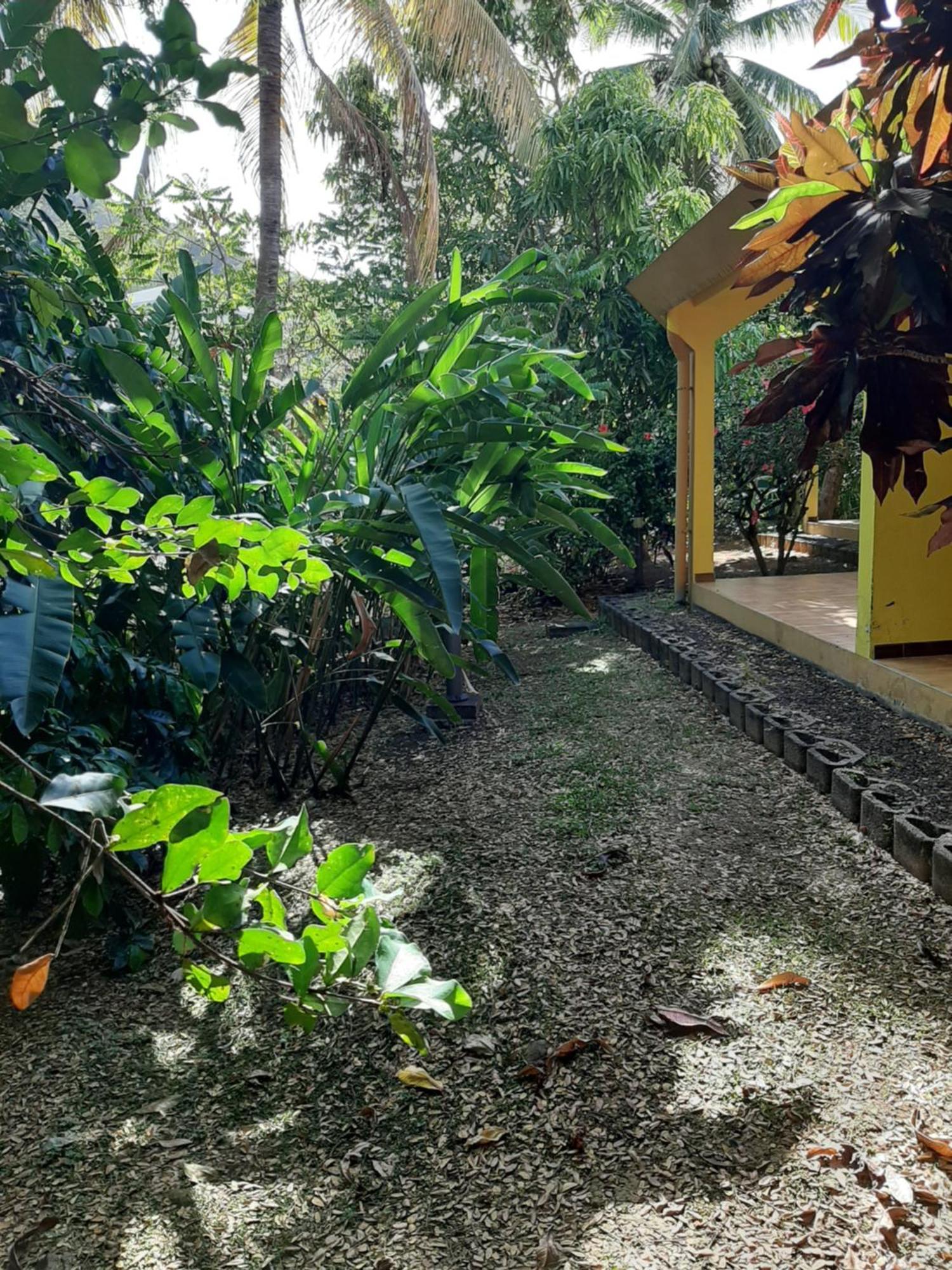 Residence De Vacances Mon Refuge - Bungalow De Type T3 Grande Anse Exterior photo